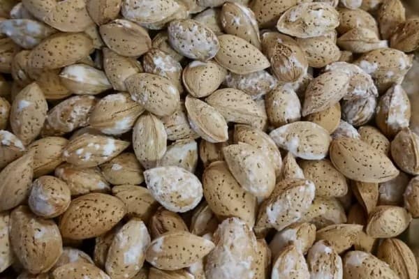 تصویر 1 از خرید بادام پوست کاغذی شور + قیمت عالی باکیفیت